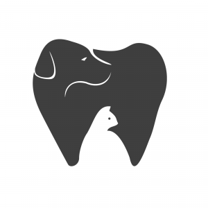 Dentisterija