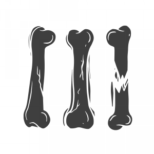 ኦርቶፔዲያ